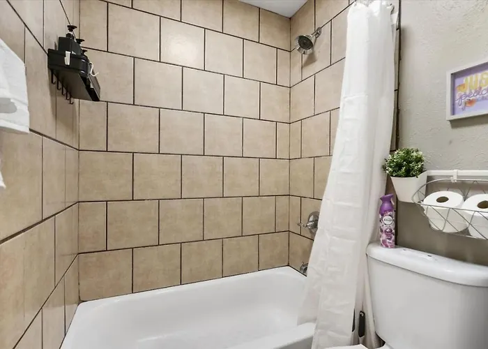 Artistic 1bd Tcu Walkable * Fort Worth